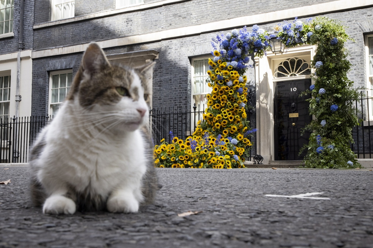 Οι πρωθυπουργοί φεύγουν ο Λάρι μένει – Ο μακροβιότερος ένοικος της Downing Street