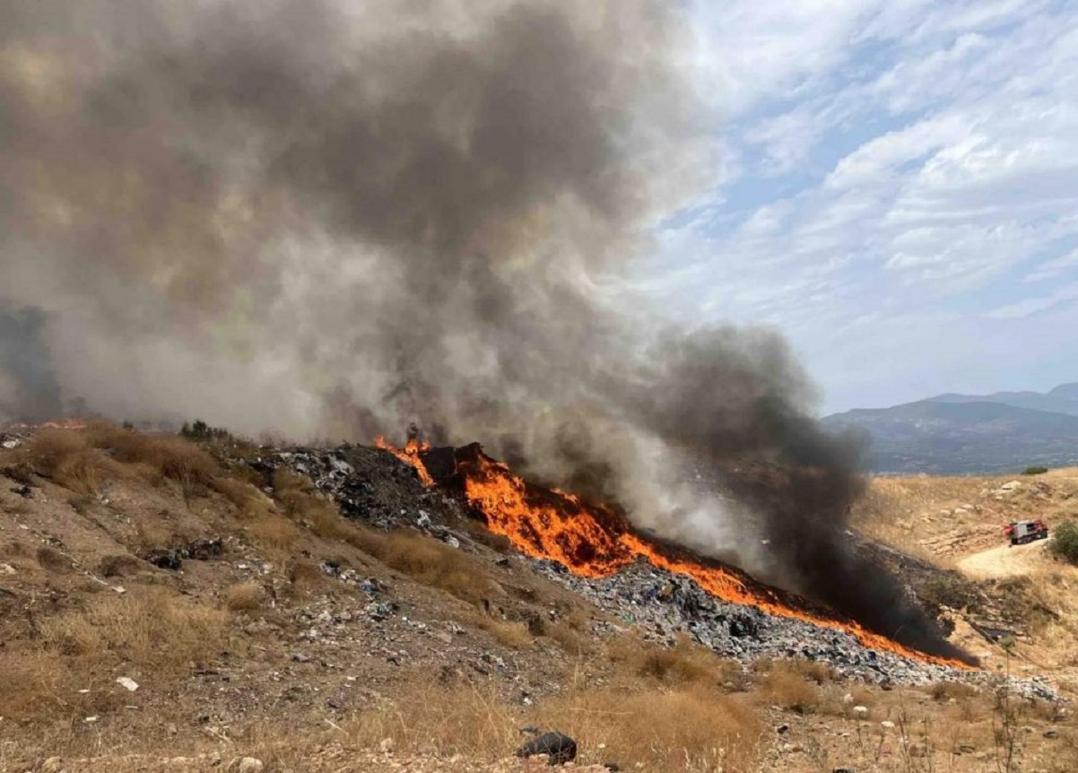 Φωτιά στη Μεσσηνία στην περιοχή Αλιμάκι, ισχυρές δυνάμεις στο σημείο