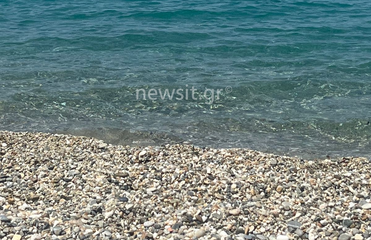 «Έπεσε ο κεραυνός και το κορίτσι μου δεν ξανασηκώθηκε» περιγράφει στο newsit.gr ο πατέρας της 13χρονης που πέθανε στη Χαλκιδική