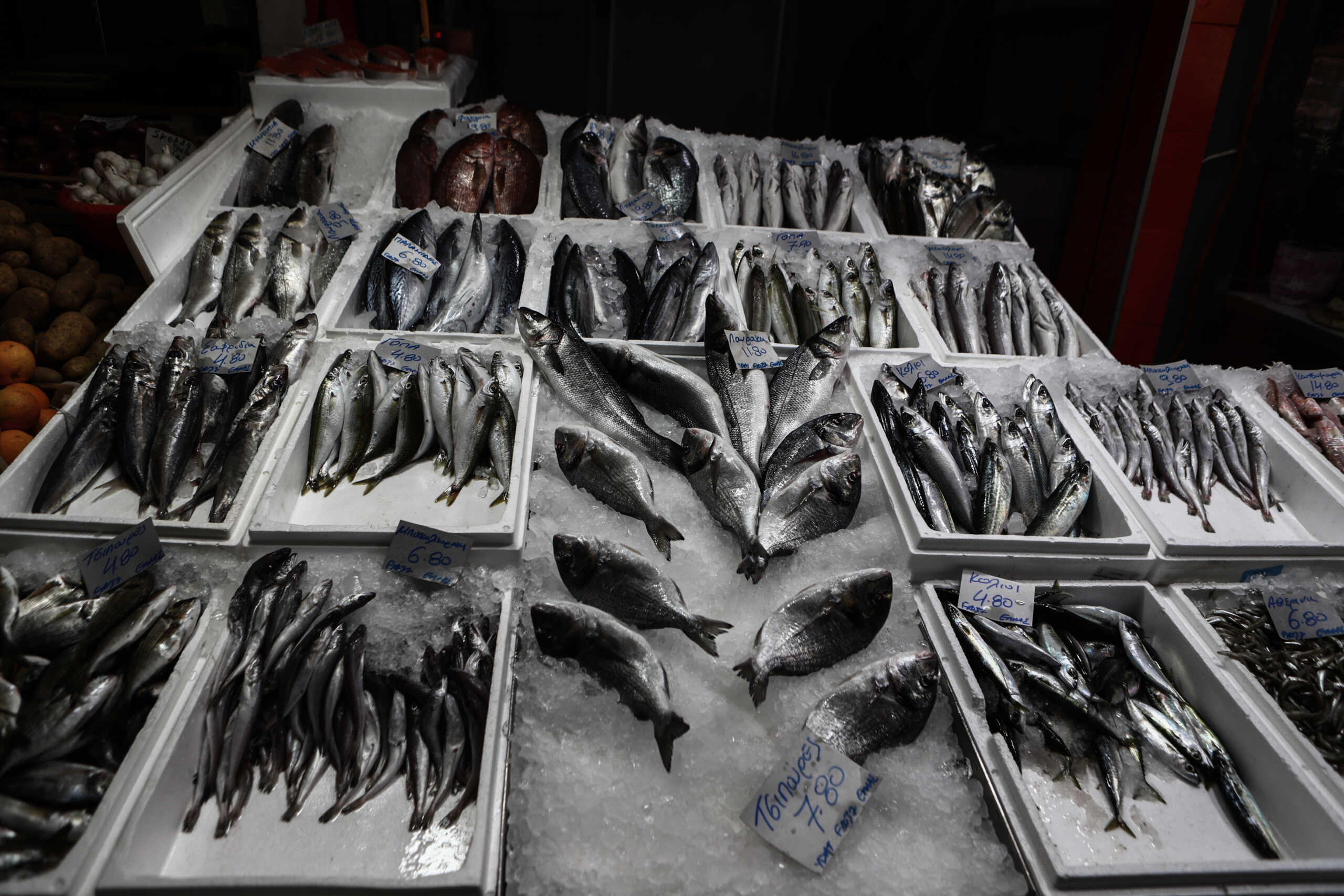Τρόφιμα: Σε ελαιόλαδο, ψάρια και μεταλλικό νερό οι μεγαλύτερες αυξήσεις τιμών τον Μάιο