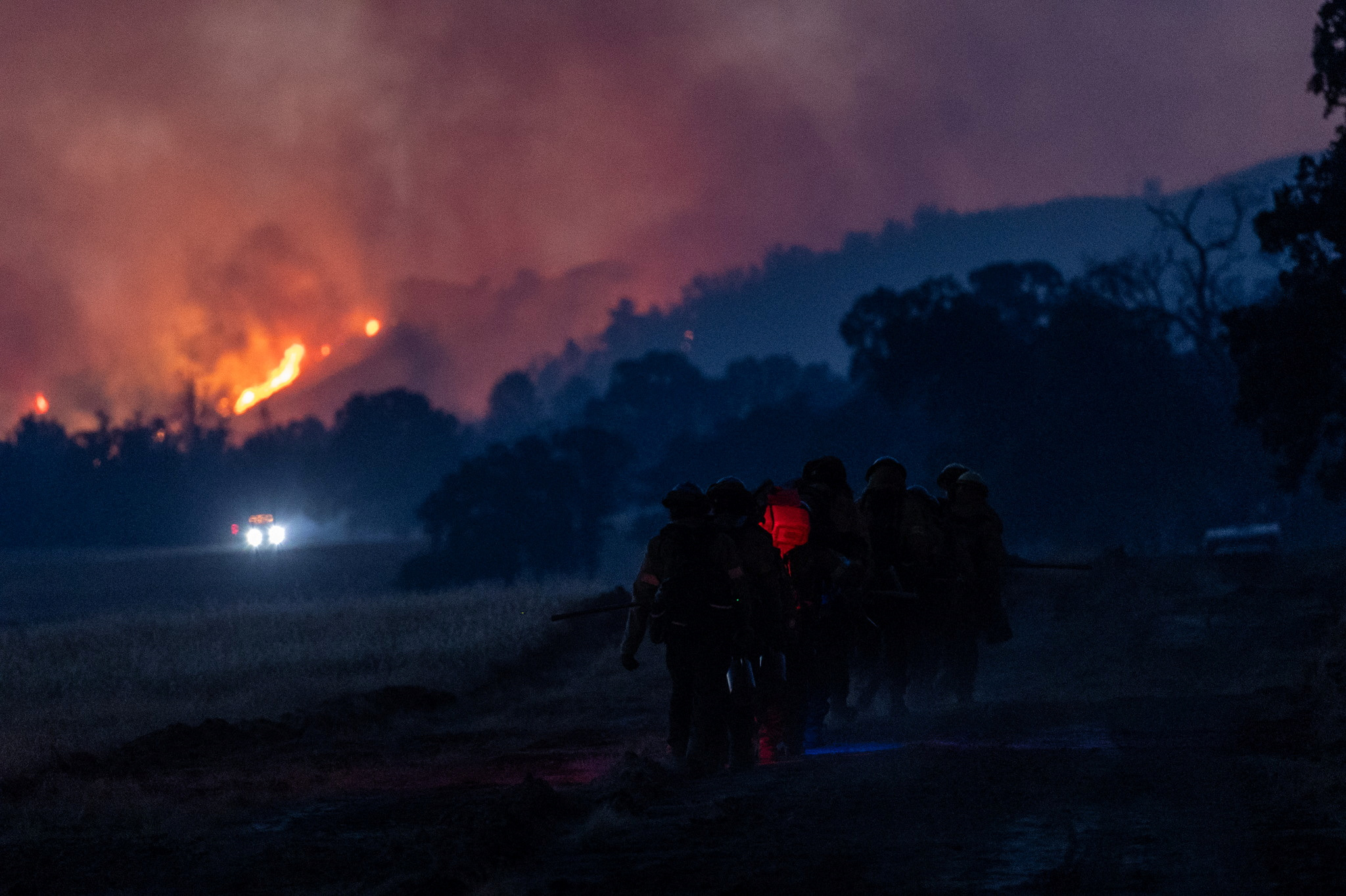 Οι ακραίες δασικές πυρκαγιές γίνονται πιο έντονες και πιο συχνές τα τελευταία χρόνια – Τι δείχνει νέα έρευνα