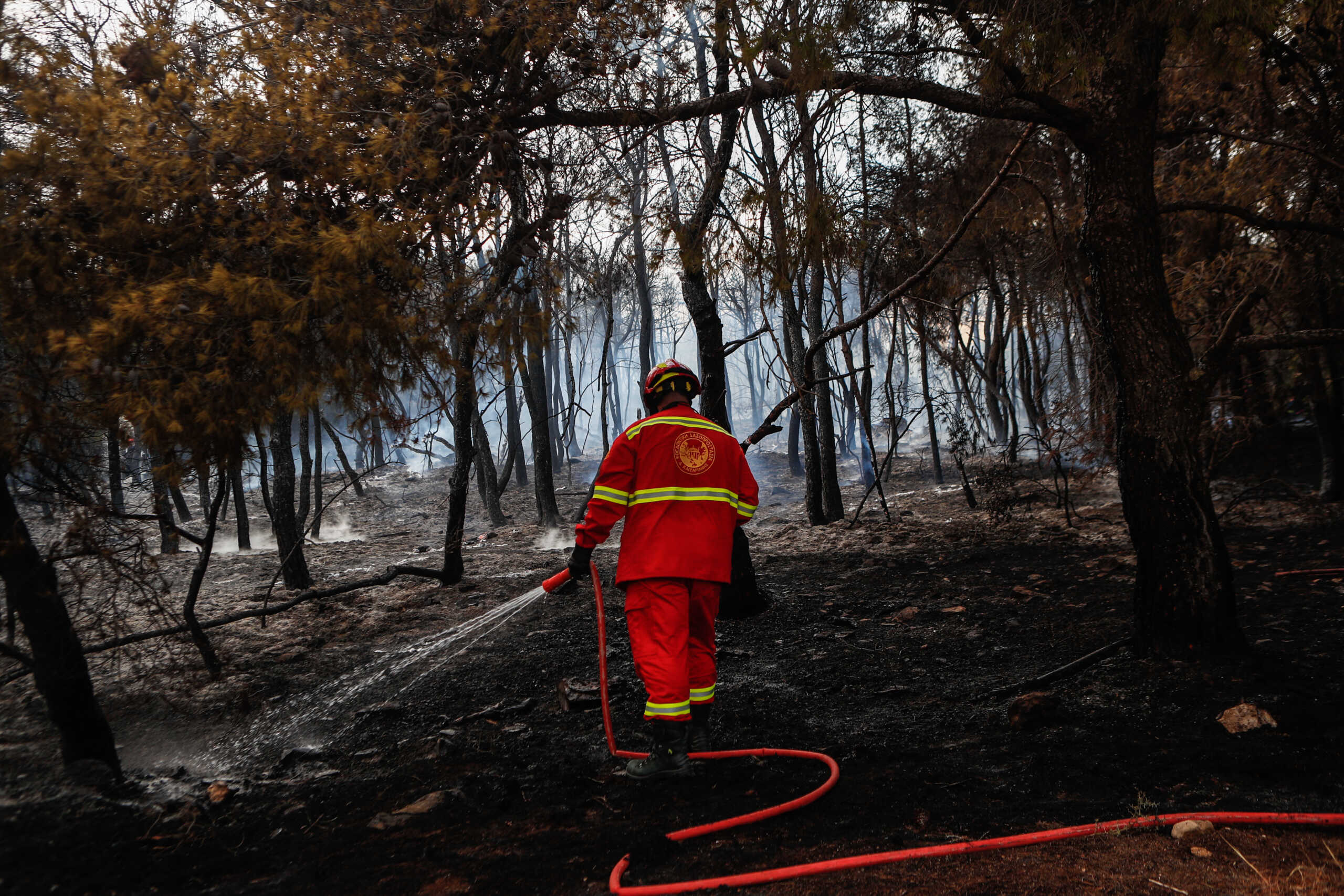 Φωτιά στο Μελίσσι Κορινθίας – Σηκώθηκαν ελικόπτερα