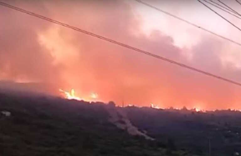 Μαίνεται η πυρκαγιά στο Δίστομο Βοιωτίας – Καίει σε δύσβατο σημείο, ενισχύθηκαν οι πυροσβεστικές δυνάμεις