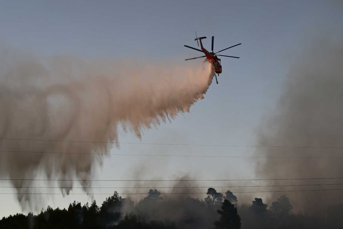 Φωτιά στη Σάμο: Μεγάλη κινητοποίηση της Πυροσβεστικής με 2 ελικόπτερα