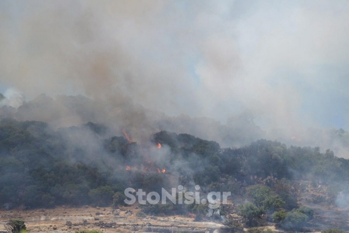 Λέσβος: Υπό έλεγχο η μεγάλη φωτιά – Ο δυνατός αέρας δυσκόλεψε τους πυροσβέστες