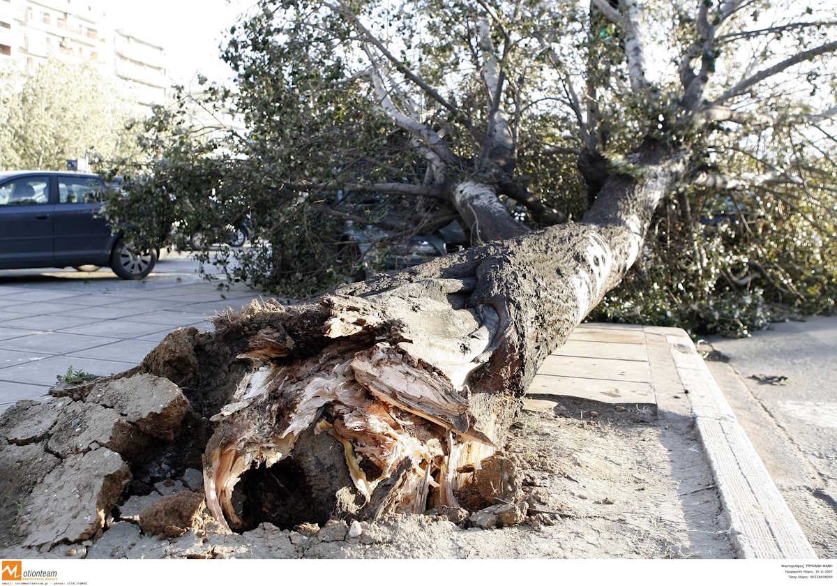 Μοτοσικλετιστής έπεσε πάνω σε πεσμένο δέντρο στην Αλεξάνδρας – Μποτιλιάρισμα στο ρεύμα προς Πατησίων
