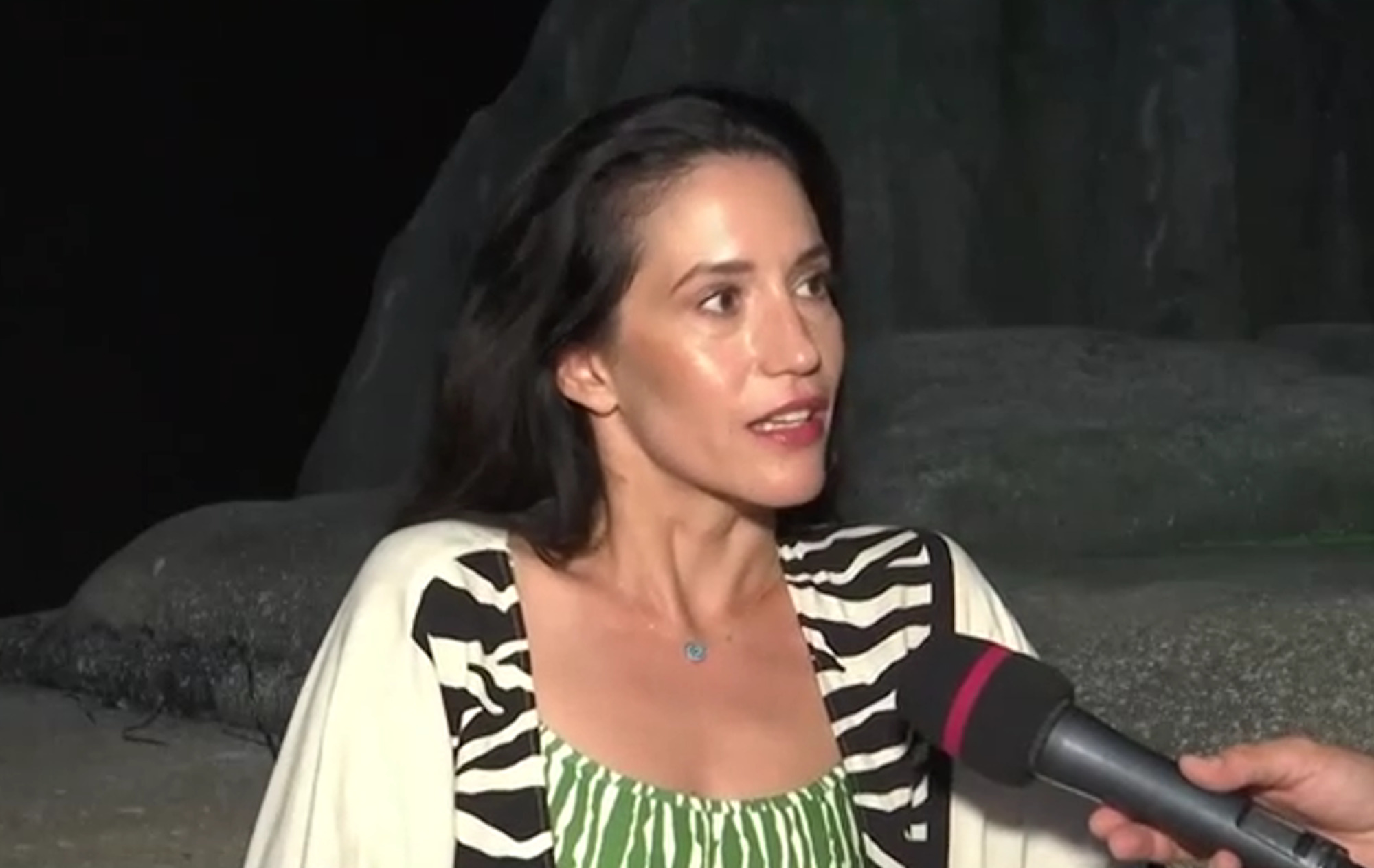 Ελένη Βαΐτσου: «Δεν έχω ταλαιπωρηθεί με ερωτήσεις δημοσιογράφων γιατί απλά δεν απαντώ»