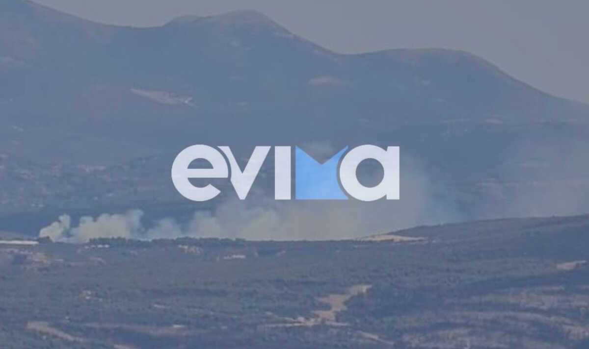 Φωτιά στην Εύβοια στην περιοχή Πισσώνα: Ήχησε το 112, ενισχύθηκαν οι δυνάμεις