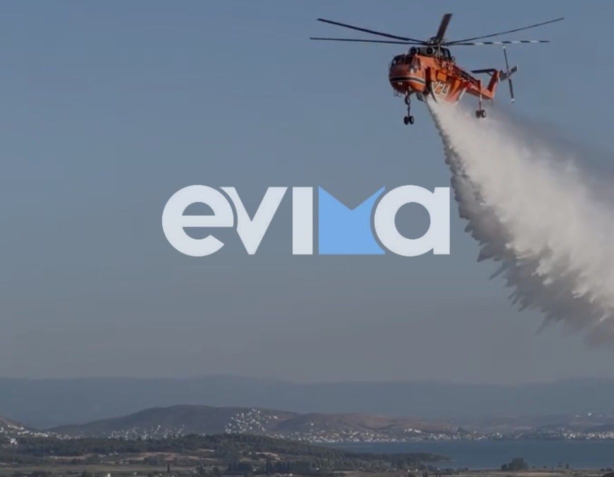 Φωτιά στην Εύβοια, στην περιοχή Κοντοδεσπότι – Επιχειρούν επίγειες και εναέριες δυνάμεις