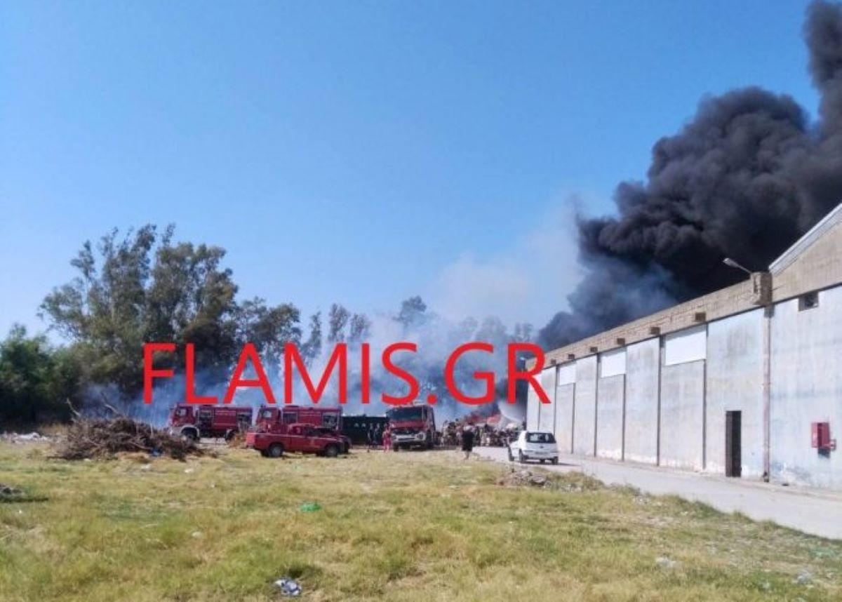 Φωτιά στην Αχαΐα δίπλα σε εργοστάσιο πλαστικών: Ήχησε το 112