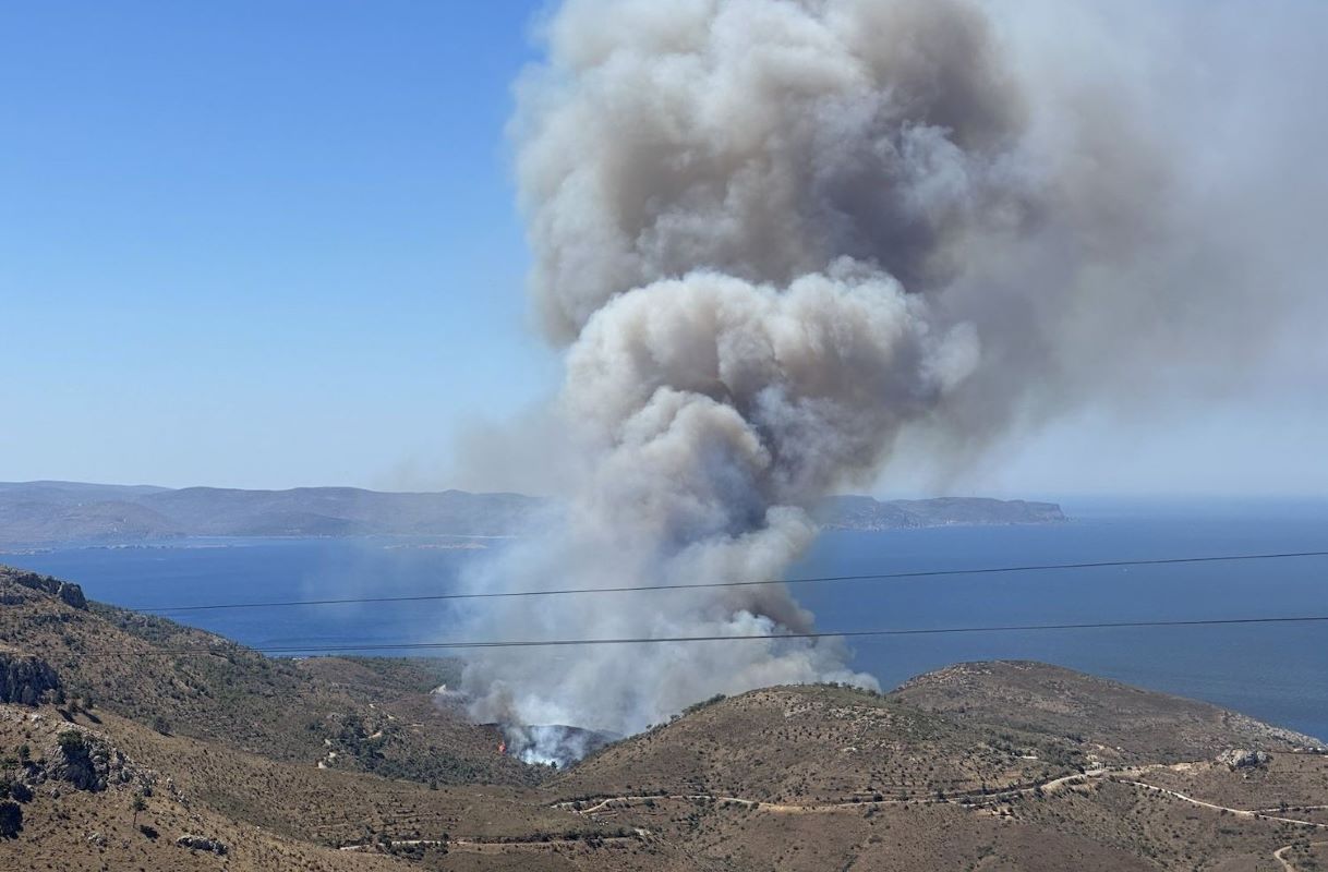 Φωτιά στη Χίο και μήνυμα από το 112: «Αν βρίσκεστε στην περιοχή Μετόχι, απομακρυνθείτε προς παραλία»