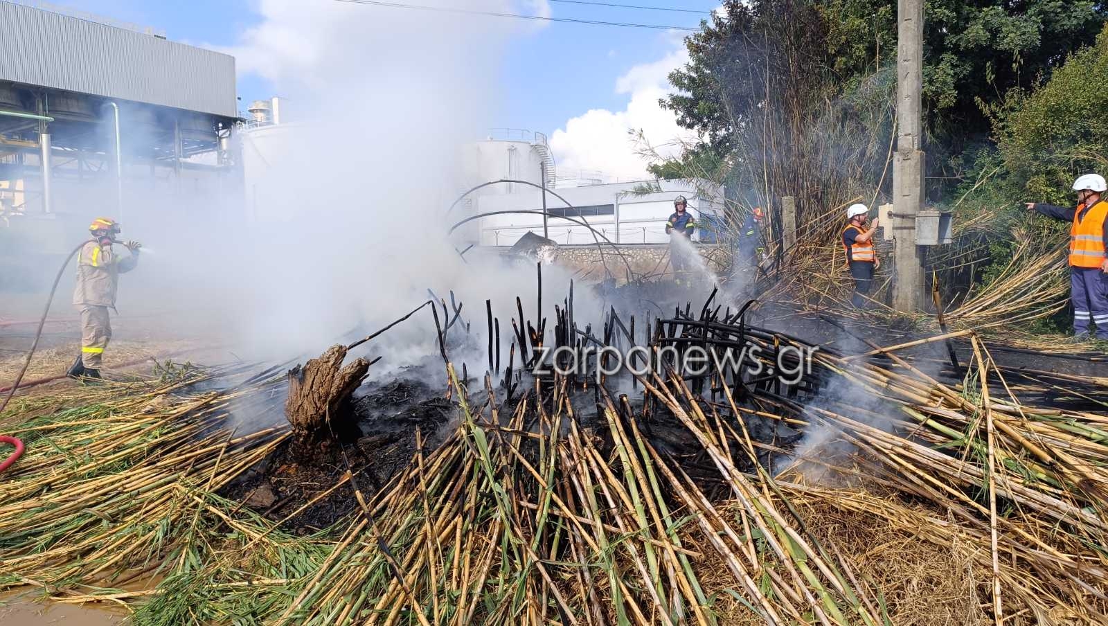 Χανιά: Φωτιά δίπλα στο εργοστάσιο της ΔΕΗ στην Ξυλοκαμάρα με ένα αυτοκίνητο να τυλίγεται στις φλόγες