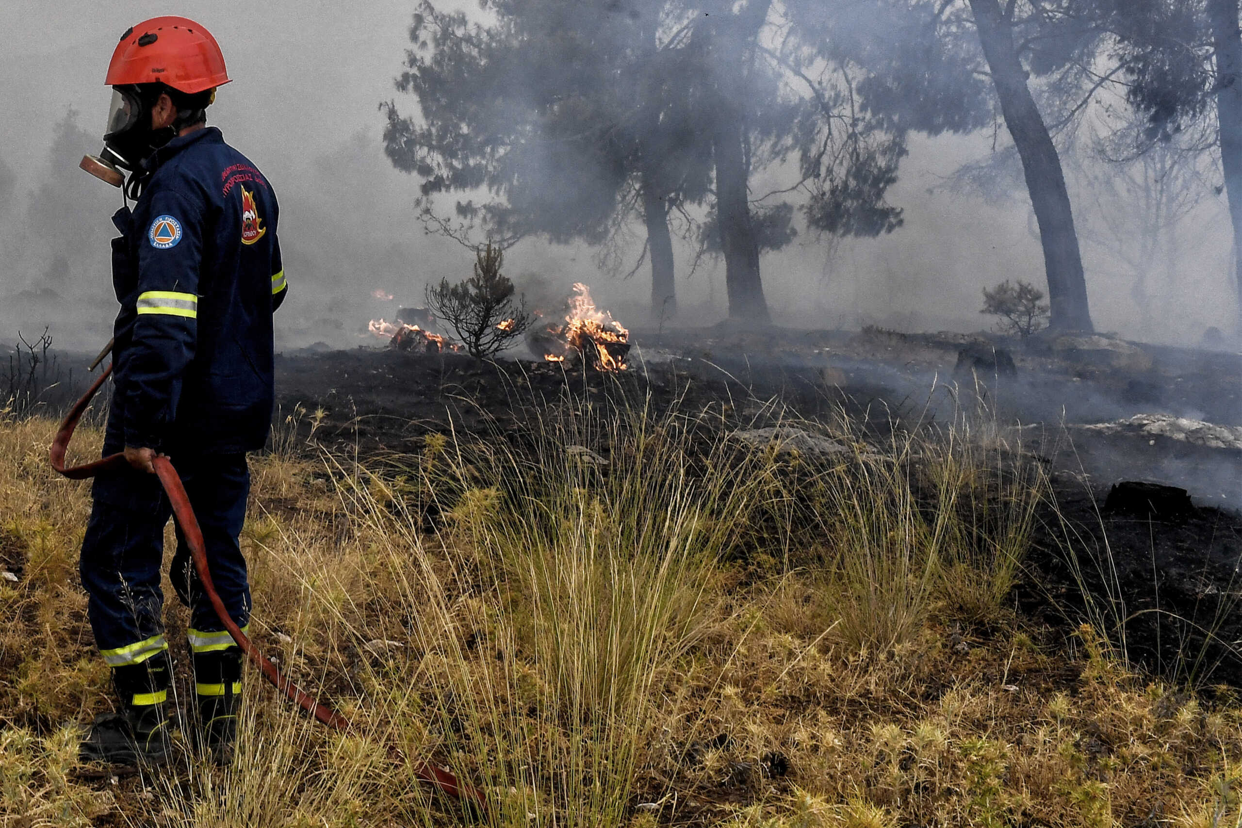 Πυροσβεστική: 24 πυρκαγιές το τελευταίο 24ωρο σε όλη τη χώρα – Υπό μερικό έλεγχο η φωτιά στην Κέα