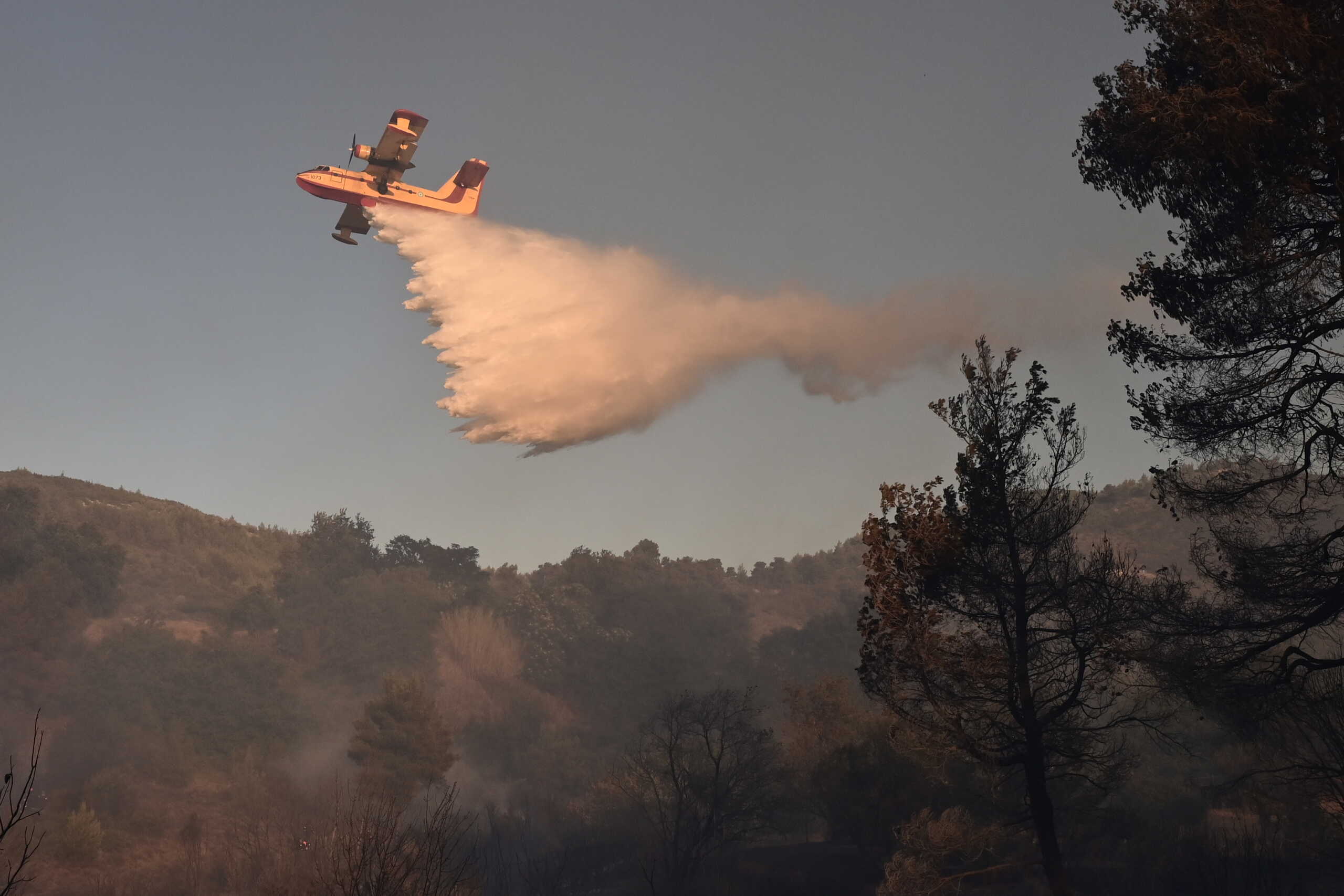 Φωτιά στις Σέρρες: Η πυρκαγιά που καίει εδώ και 13 μέρες πλησιάζει το Αχλαδοχώρι