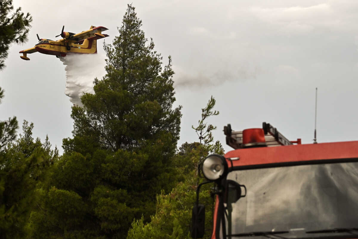 Φωτιά στο Καλαμίτσι στην Πρέβεζα: Ήχησε το 112 – Μεγάλη κινητοποίηση της Πυροσβεστικής