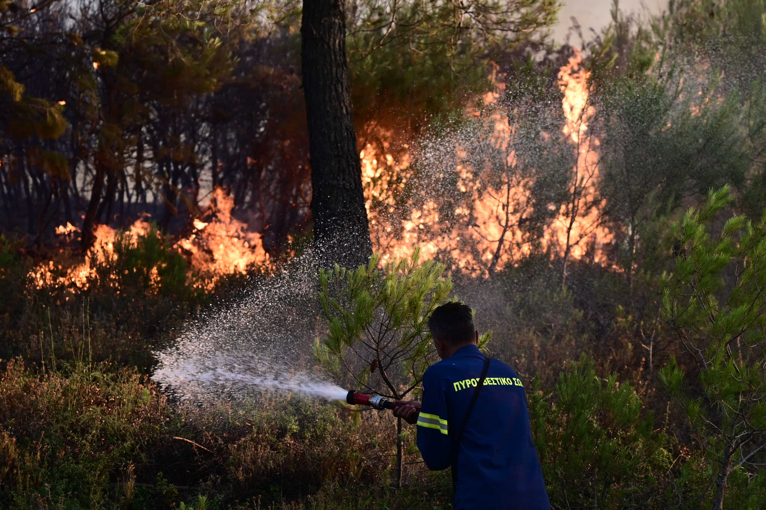 Πυροσβεστική: 45 αγροτοδασικές πυρκαγιές το τελευταίο 24ωρο – Έσβησε η φωτιά στη Φιλιππιάδα