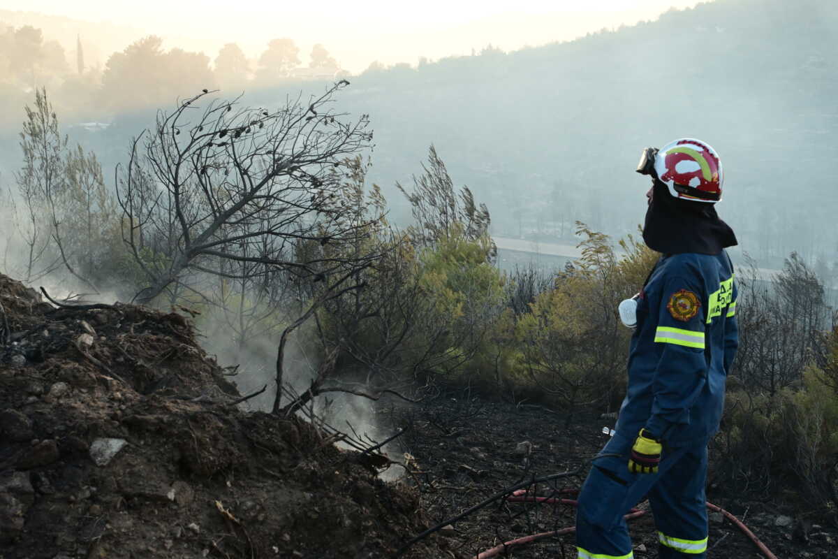 Φωτιά στη Θεσσαλονίκη στην περιοχή Λιβάδι: Σηκώθηκαν 4 εναέρια μέσα