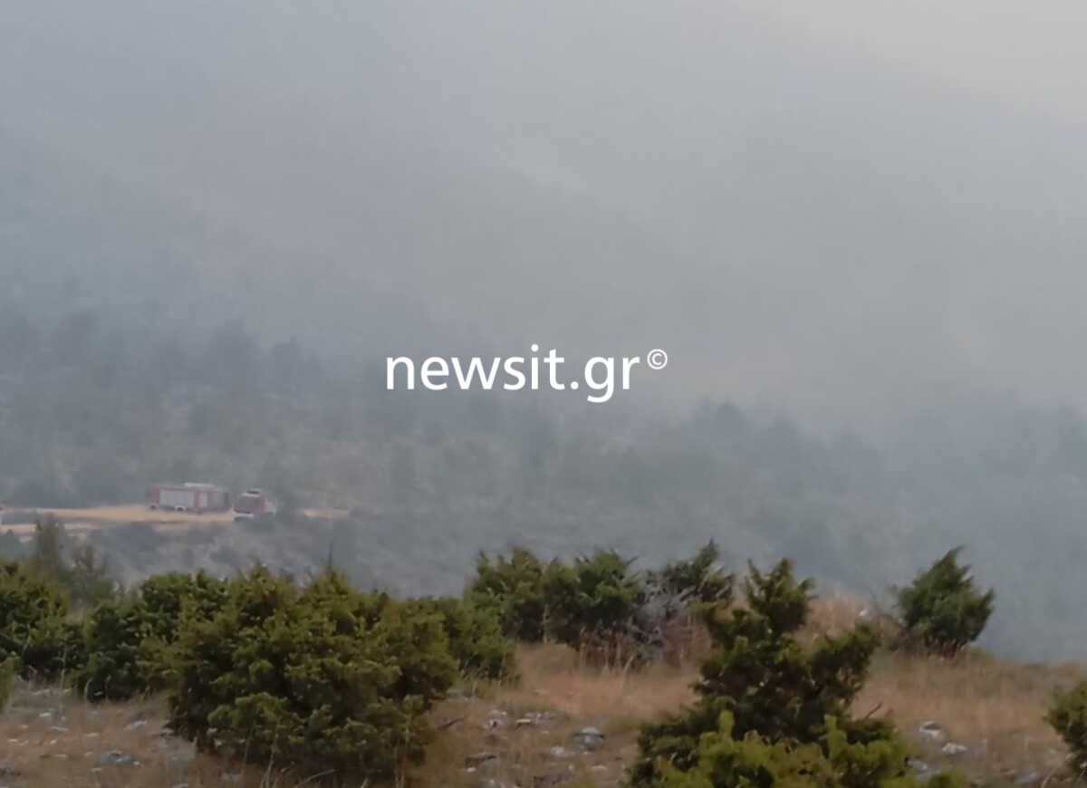 Φωτιά στις Σέρρες: Βελτιωμένη η εικόνα του μετώπου που καίει για 13η μέρα