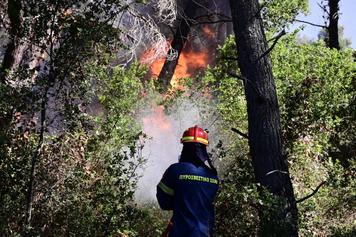 Φωτιά στη Βοιωτία σε δασική έκταση στην περιοχή Δάφνη