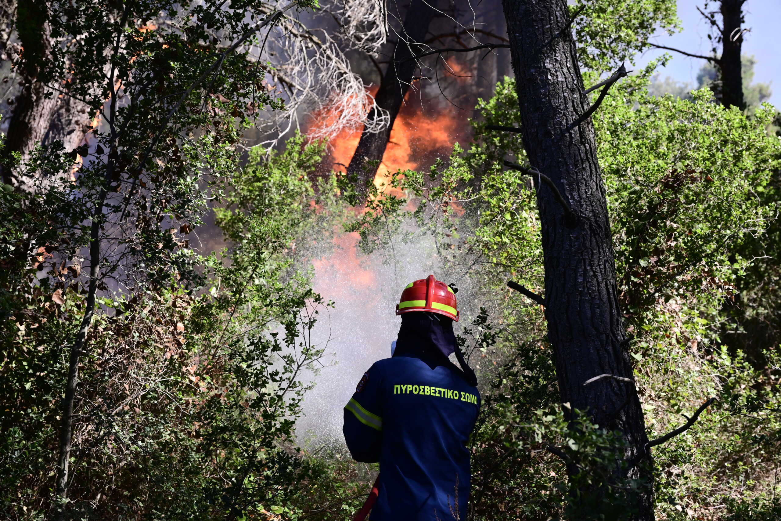 Φωτιά στη Ζάκυνθο στην περιοχή Φιολίτης, επιχειρούν και ενάερια μέσα