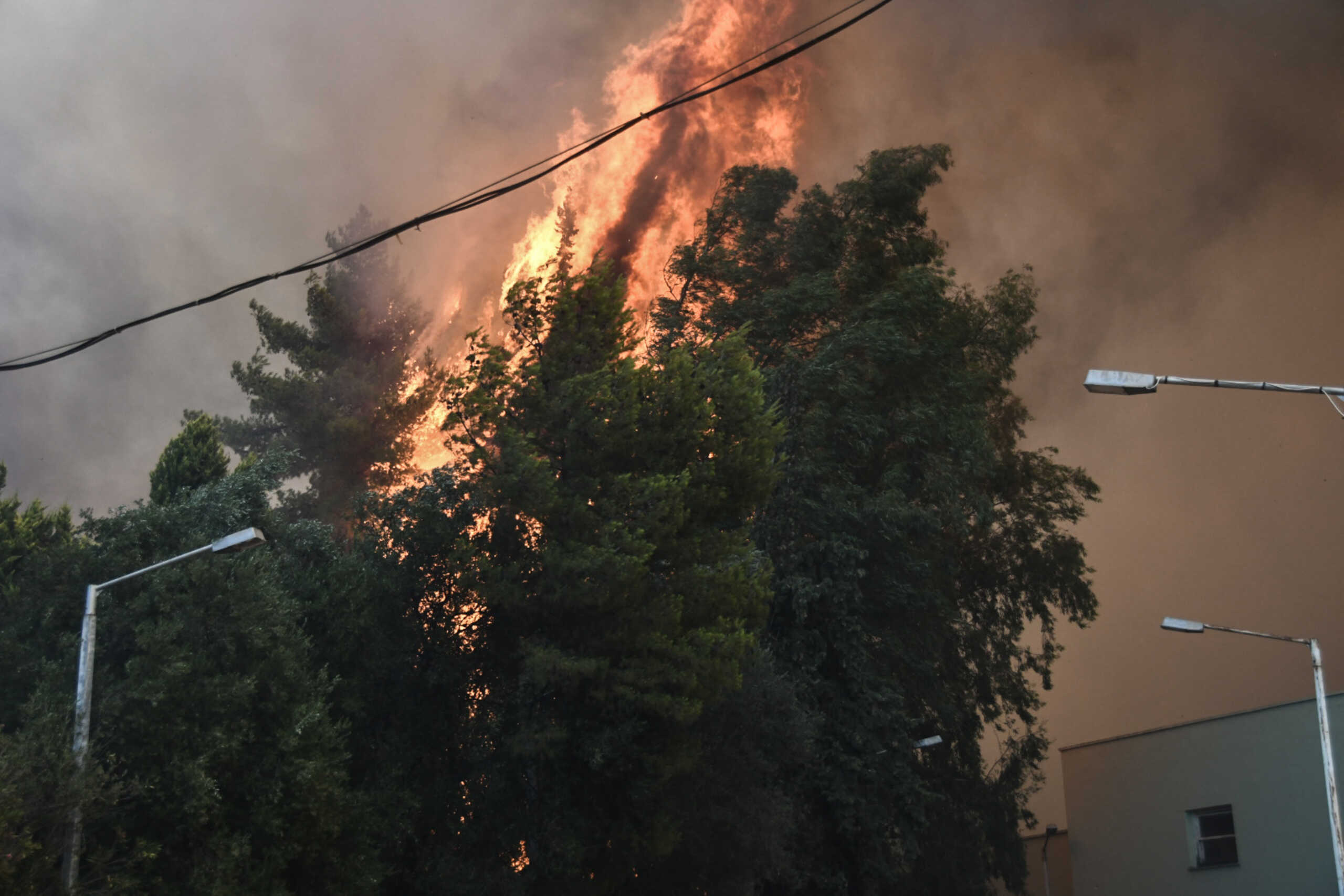 Πολύ υψηλός κίνδυνος πυρκαγιάς για τη μισή Ελλάδα: Οι 16 περιοχές με «πορτοκαλί» συναγερμό