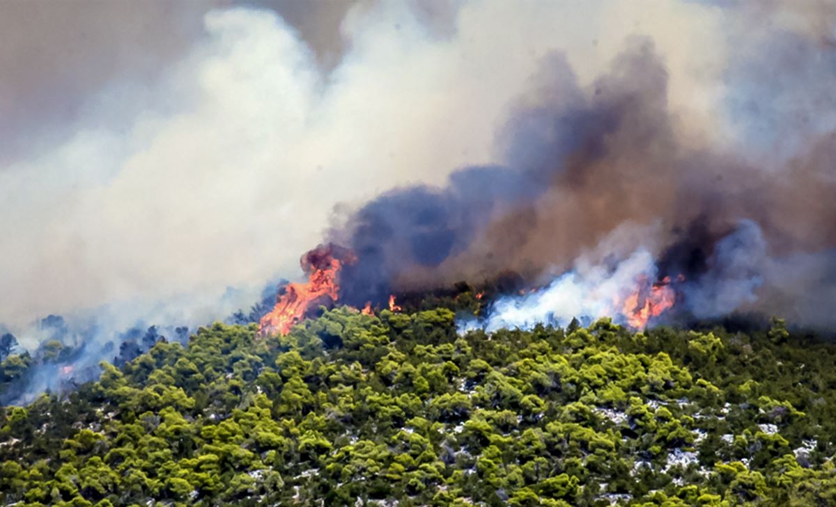 Φωτιά στην Εύβοια: Συνεχή μηνύματα του 112 για εκκενώσεις οικισμών – Ενισχύονται οι πυροσβεστικές δυνάμεις
