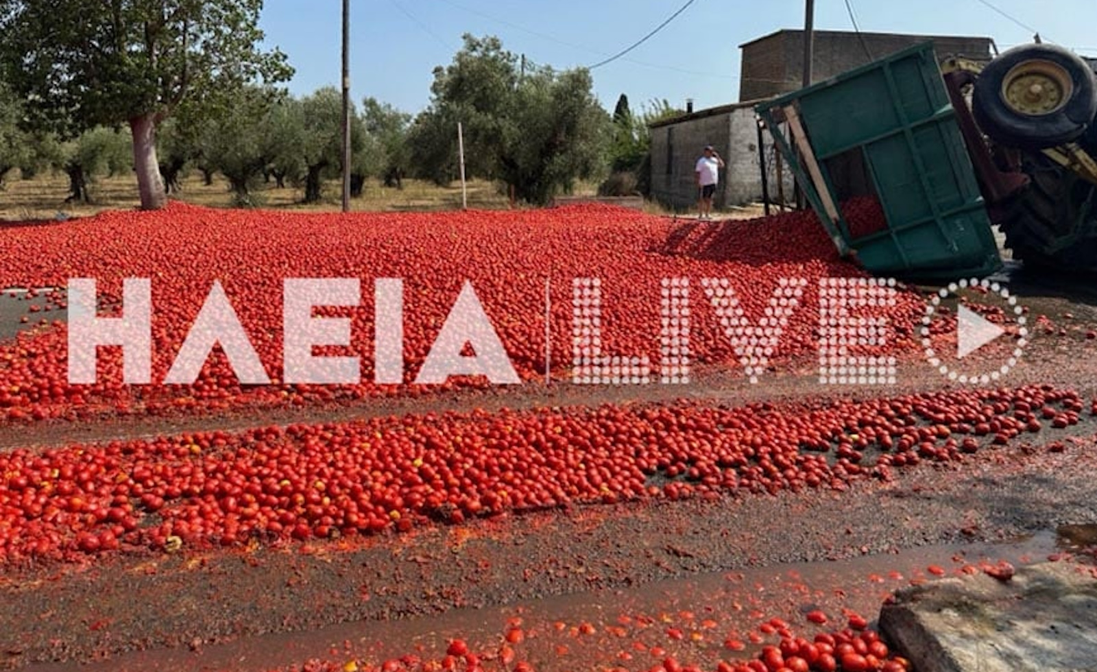 Ηλεία: Τροχαίο ατύχημα μετά από ανατροπή τρακτέρ – Γέμισε ο δρόμος ντομάτες