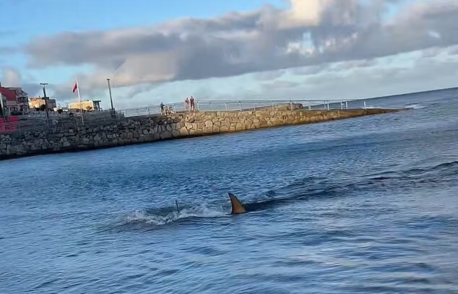 Θρίλερ στην Ισπανία: Καρχαρίας επιτέθηκε σε τουρίστες «στα ρηχά» της παραλίας Λας Πάλμας