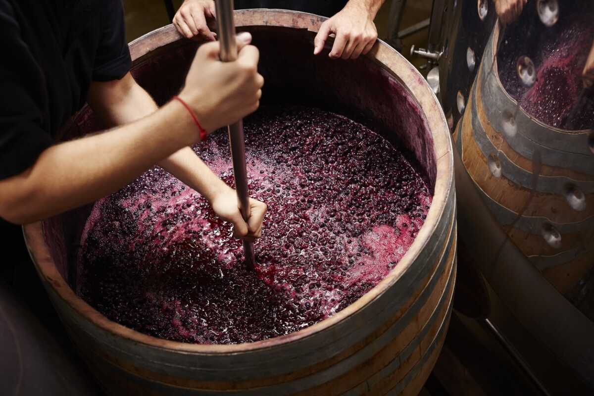 Το κλαδικό φόντο της πτώχευσης του Τσάνταλη: Σε δραματική πτώση η παραγωγή, η εξαγωγή και η κατανάλωση κρασιού
