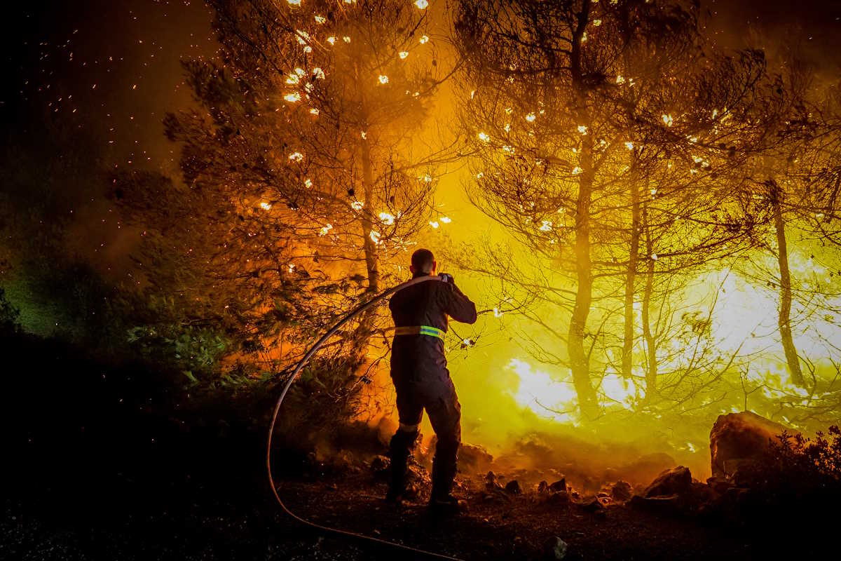 Εύβοια: Περισσότερα από 17.700 στρέμματα κάηκαν από τις φωτιές στον Πισσώνα και τις Πετριές