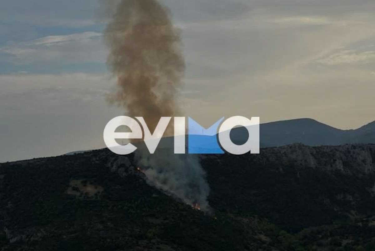 Εύβοια: Φωτιά από κεραυνό ανάμεσα στα χωριά Θαρούνια και Τραχήλι Κύμης – Αλιβερίου