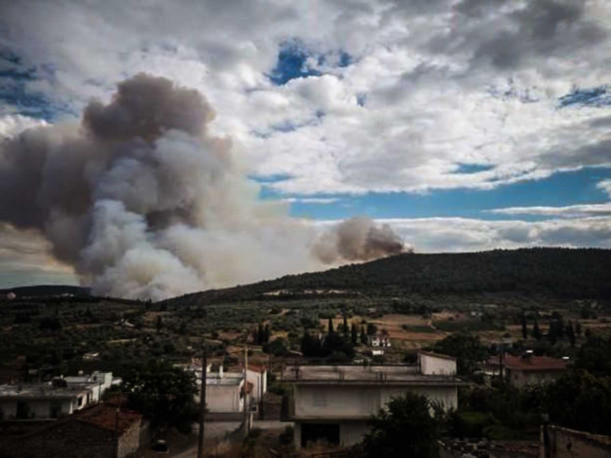 Φωτιά στην Τανάγρα: Μεγάλη κινητοποίηση της Πυροσβεστικής με 9 εναέρια μέσα