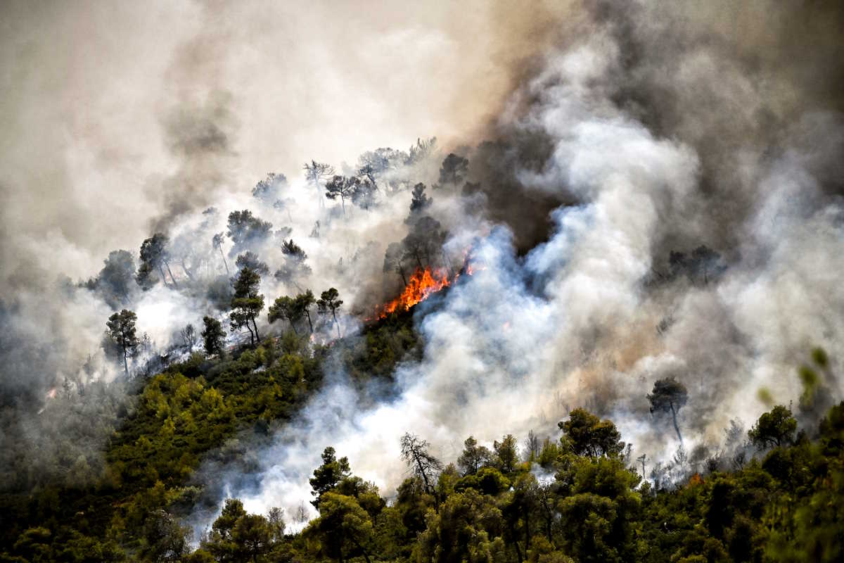 Αχαΐα: Φωτιά στη Λυκουρία Καλαβρύτων – Σηκώθηκαν 2 αεροσκάφη και 2 ελικόπτερα