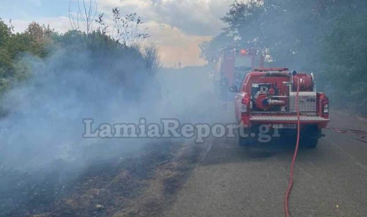 Φθιώτιδα: Φωτιά από κεραυνό κοντά στη Μακρακώμη