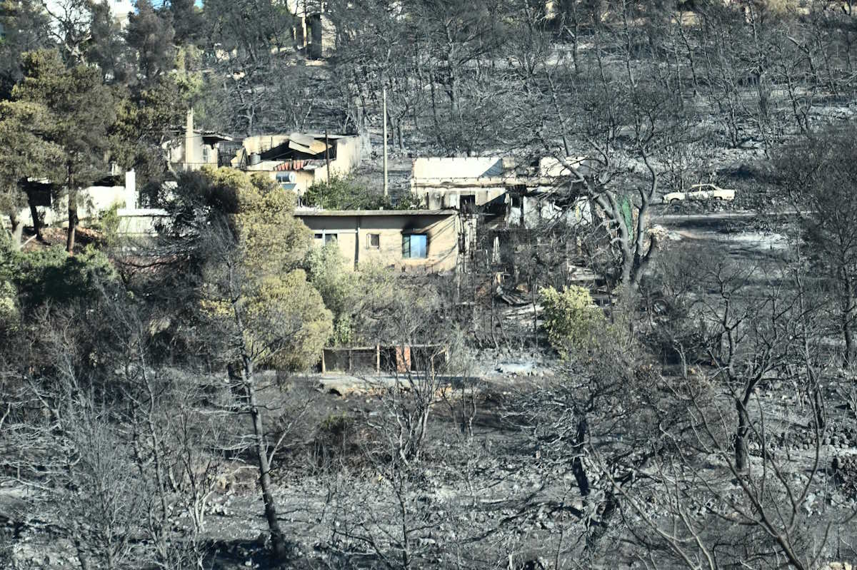 Πυρκαγιά στη Βορειοανατολική Αττική. Επόμενη ημέρα. Πάτημα Χαλανδρίου.Τρίτη 13 Αυγούστου 2024  (ΚΩΣΤΑΣ ΤΖΟΥΜΑΣ