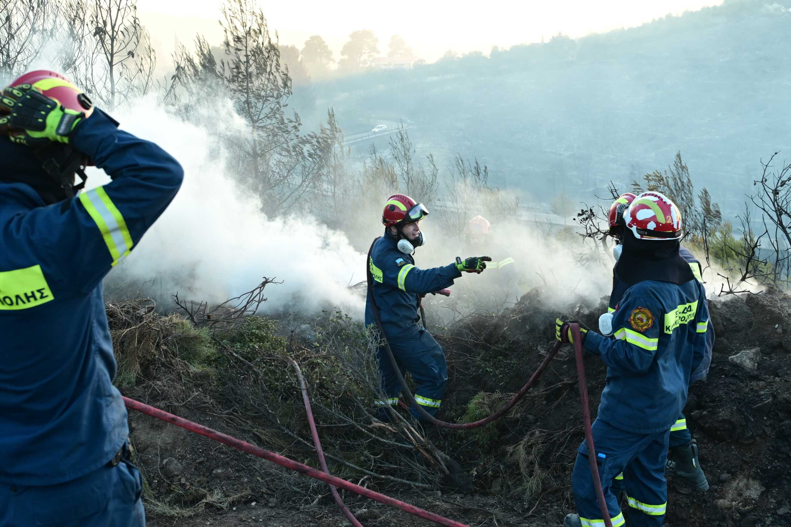 Φωτιά στην Καρδίτσα: Σηκώθηκαν τα εναέρια μέσα