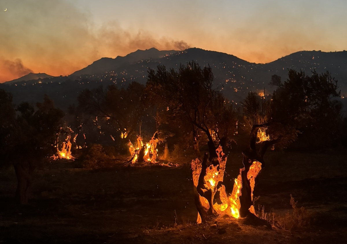 Ρέθυμνο: Πάνε ενισχύσεις από Αθήνα για τη μεγάλη φωτιά που καίει ανεξέλεγκτη