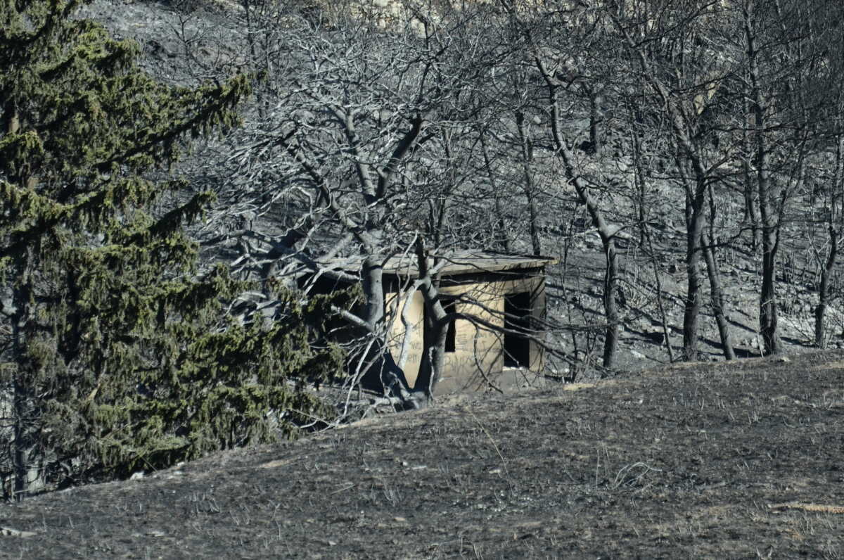 Φωτιά στην Αττική: Έκτακτη χρηματοδότηση 4,7 εκατ. ευρώ στους δήμους που επλήγησαν