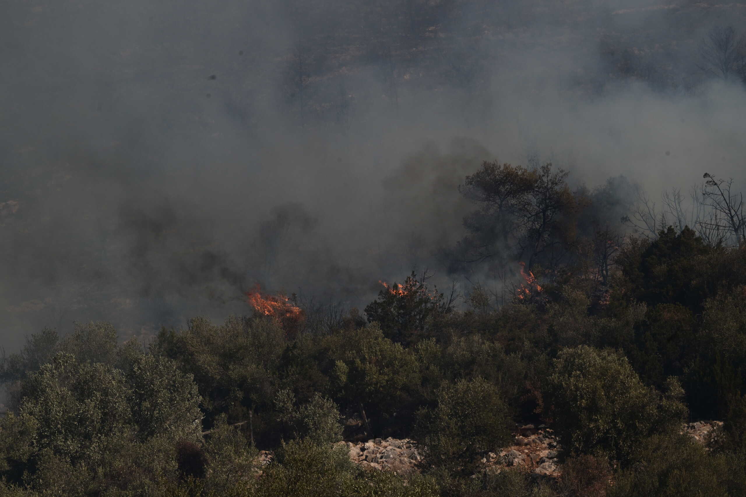 ΠΟΕΔΗΝ για φωτιά στην Αττική: Στοιχεία για τους τραυματίες και τις εκκενώσεις σε δομές υγείας