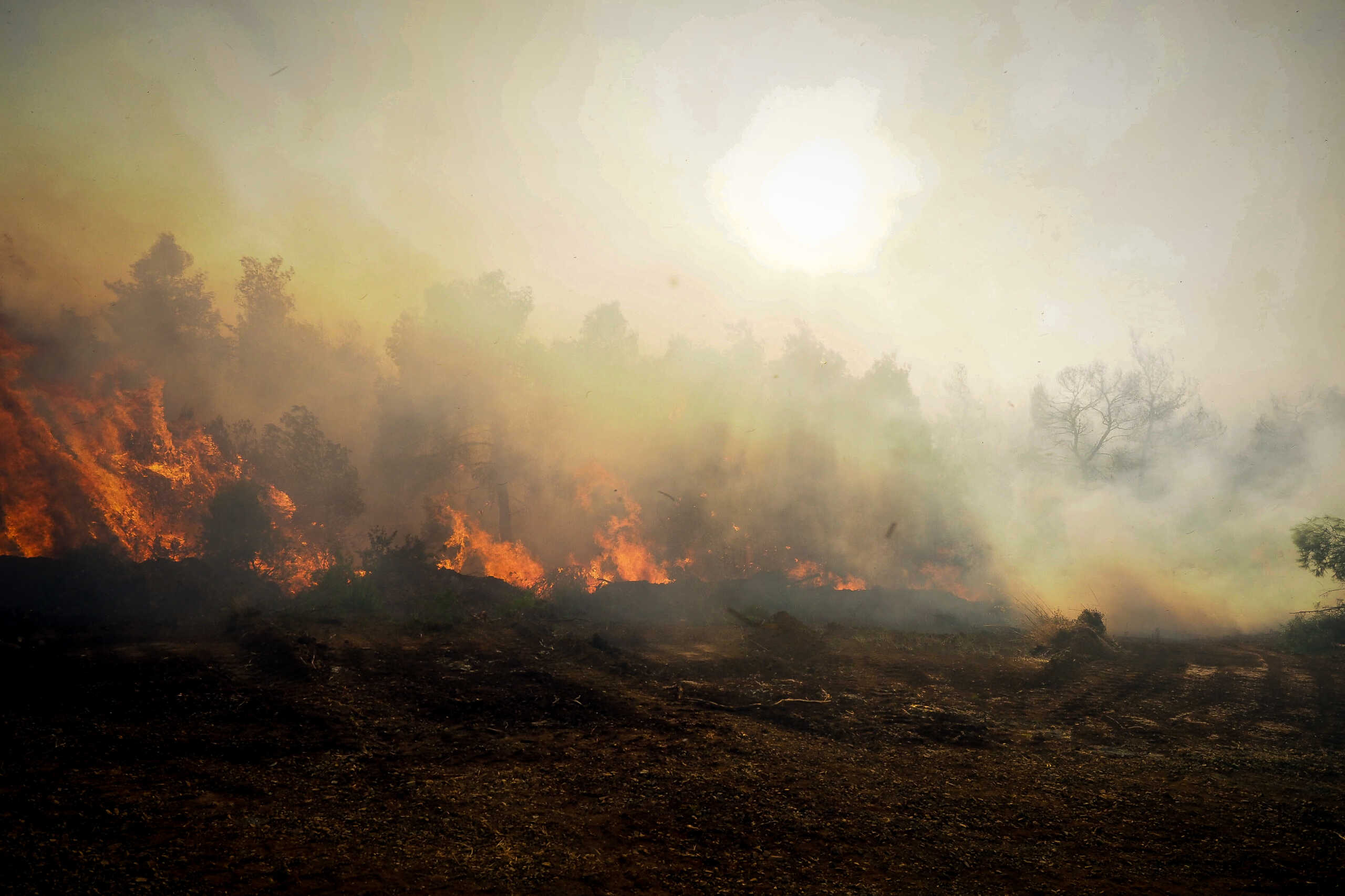 Φωτιά στο Ρέθυμνο: Ξέσπασε τα ξημερώματα στα Σελλιά – Μήνυμα του 112 για ετοιμότητα