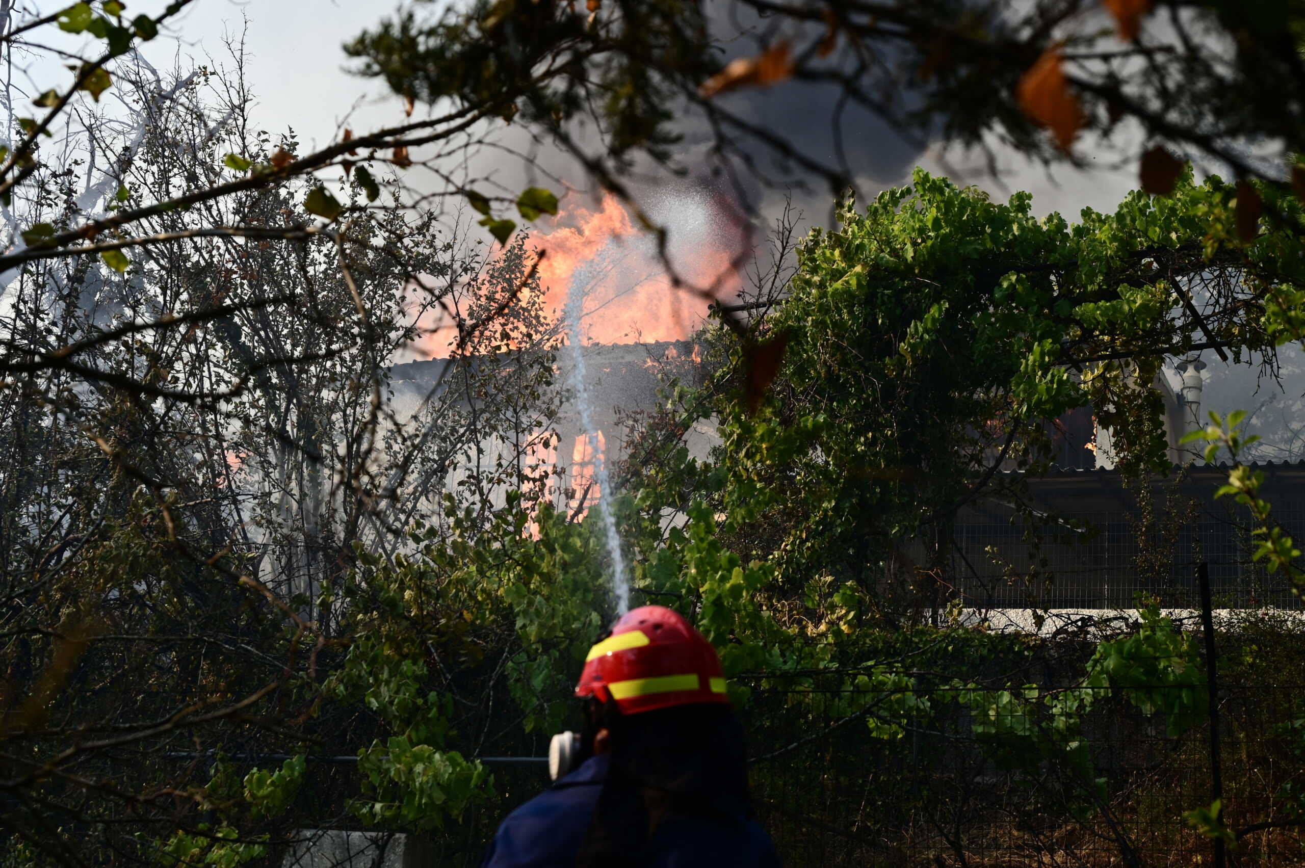 Φωτιά στην Αττική: Ειδική πλατφόρμα για τη διαμονή των πληγέντων σε ξενοδοχεία – Πού κάνουν αίτηση