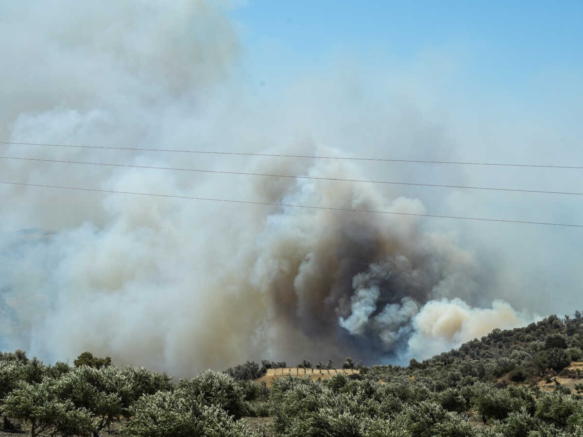 Φωτιά στο Ρέθυμνο: Καλύτερη η εικόνα – Πάνω από 300 πυροσβέστες στη μάχη με τις φλόγες