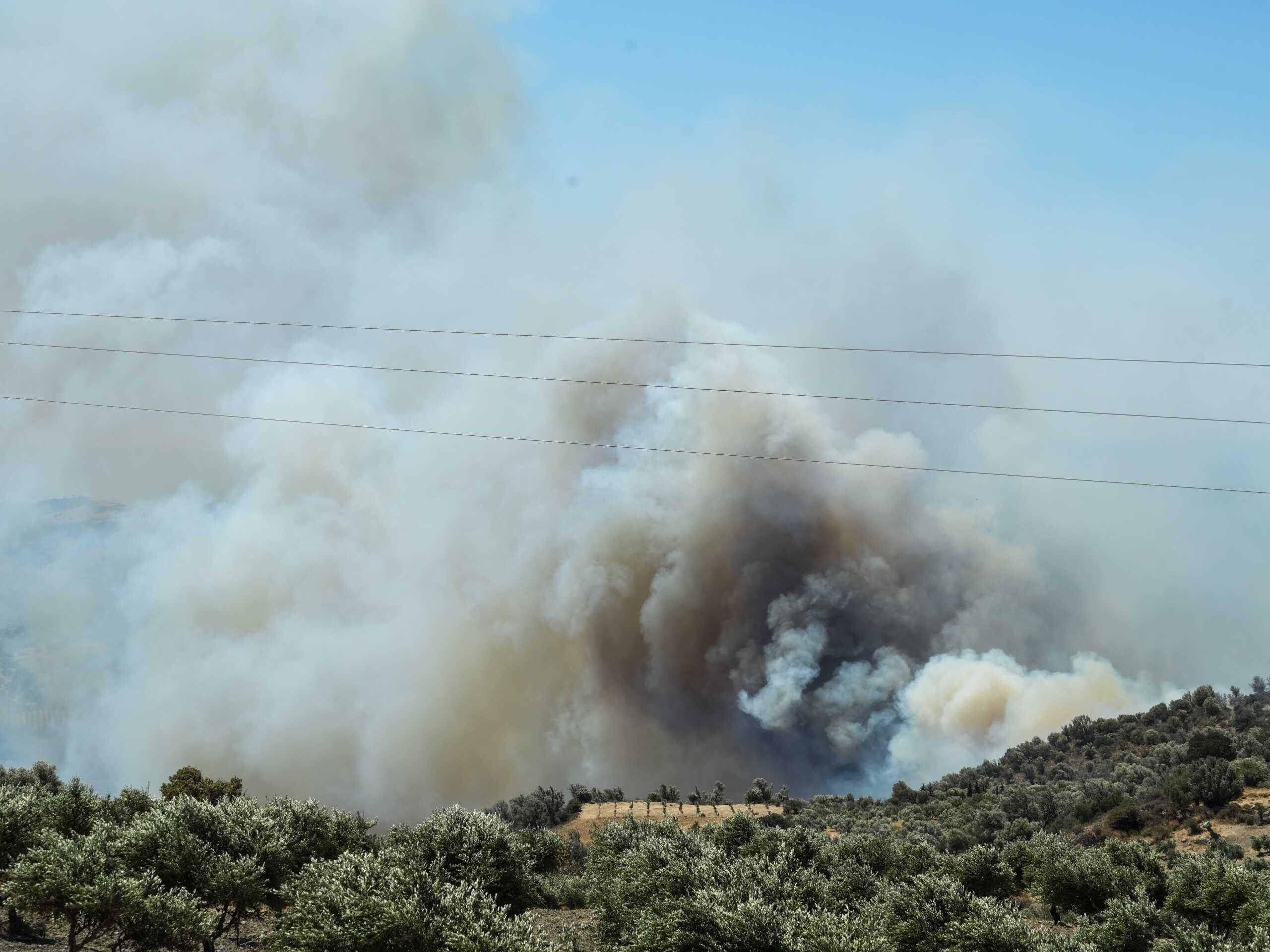 Φωτιά στο Ρέθυμνο: Καλύτερη η εικόνα – Πάνω από 300 πυροσβέστες στη μάχη με τις φλόγες