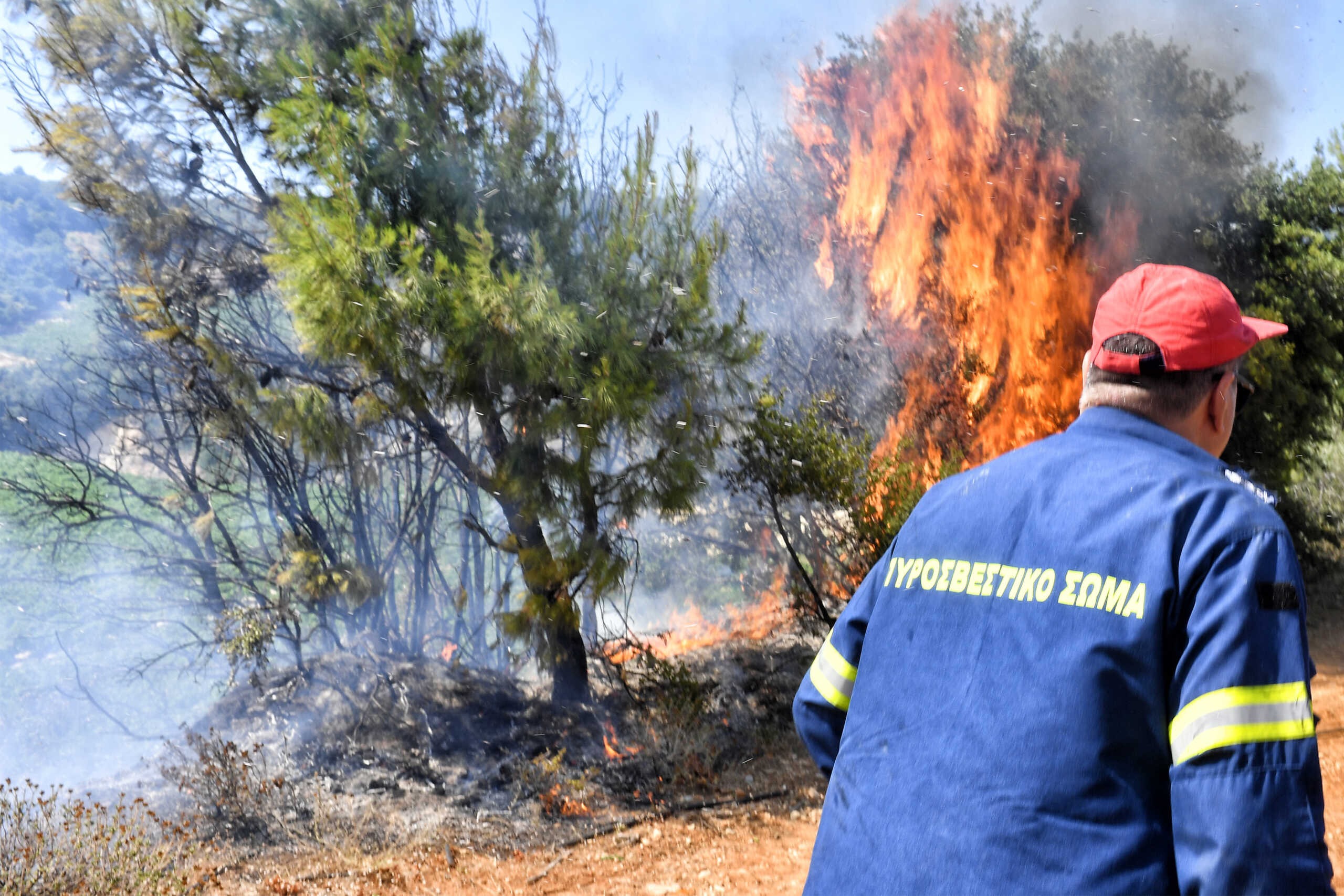 Φωτιά στη Βόνιτσα στην περιοχή Κατάκολο: Ρίψεις νερού από 5 αεροσκάφη