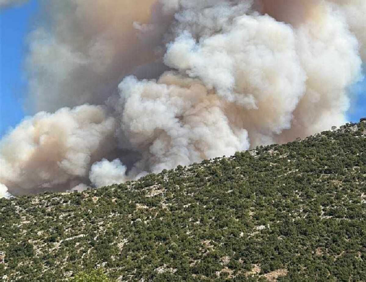 Μεγάλη φωτιά στη Θεσπρωτία στην περιοχή Παλαμπά, κοντά στο χωριό οι φλόγες