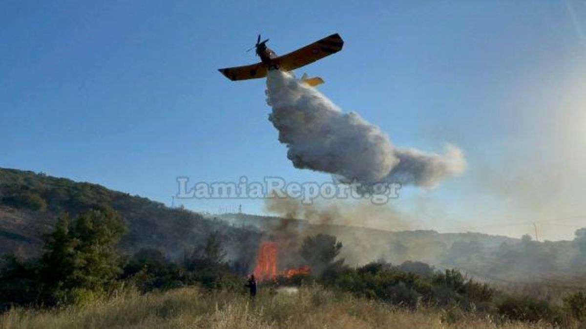 Φωτιά στην Κορομηλιά Δομοκού Φθιώτιδας – Μήνυμα από το 112 «απομακρυνθείτε προς Άγιο Στέφανο»