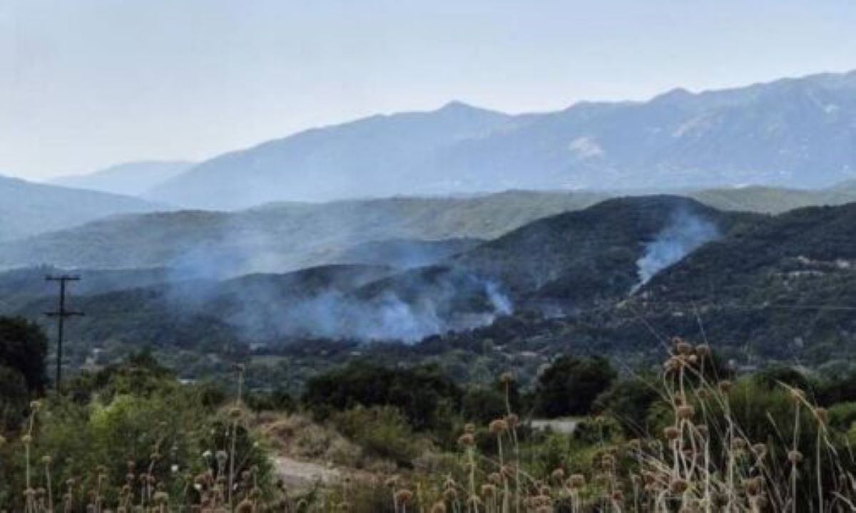 Φωτιά στη Βαδίστρα Ιωαννίνων – Ρίψεις νερού από 3 αεροσκάφη και 2 ελικόπτερα