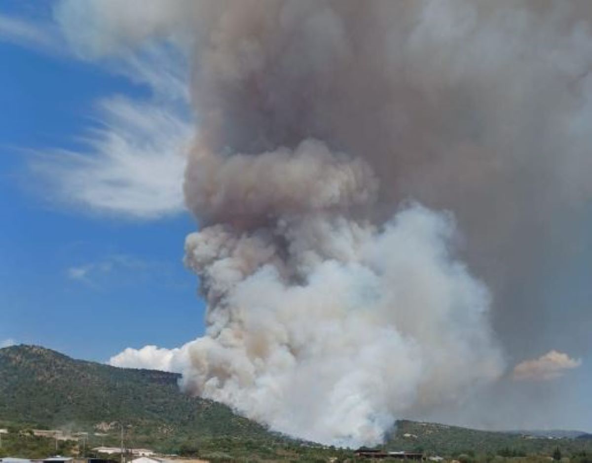 Φωτιά στη Νέα Σάντα Ροδόπης – Ρίψεις νερού από 5 αεροσκάφη και 4 ελικόπτερα