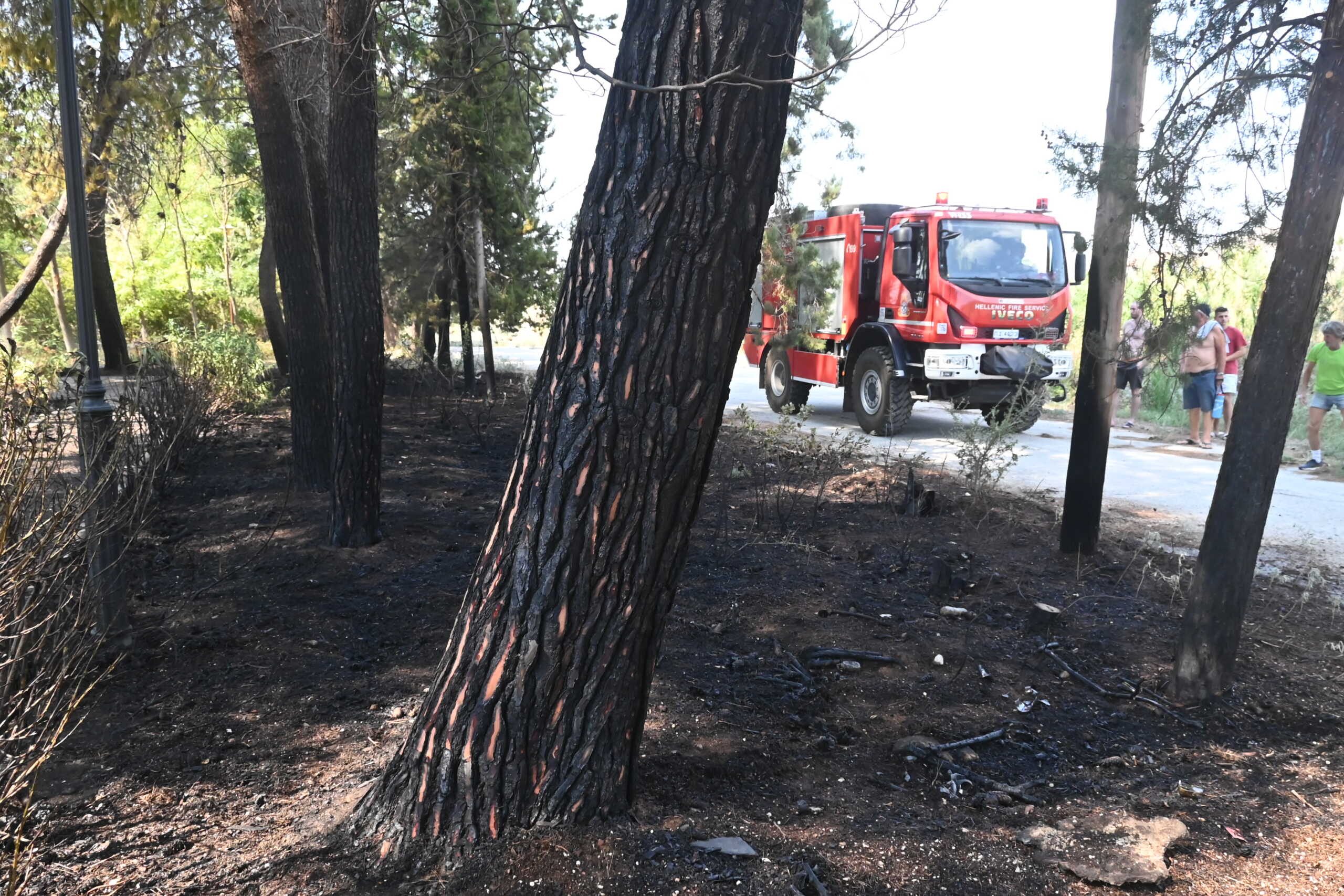 ΝΑΥΠΛΙΟ - Πυρκαγιά από άγνωστους λόγους εκδηλώθηκε το μεσημέρι της Παρασκευής 16 Αυγούστου, σε αλσύλλιο στις εργατικές κατοικίες στο Ναύπλιο. Η άμεση κινητοποίηση της Πυροσβεστικής Υπηρεσίας είχε σαν αποτέλεσμα το γρήγορο έλεγχο και την κατάσβεση της φωτιάς χωρίς να κινδυνεύσουν κατοικίες. (ΒΑΣΙΛΗΣ ΠΑΠΑΔΟΠΟΥΛΟΣ