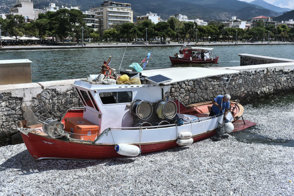 Ο Αχιλλέας Μπέος έκανε αυτοψία στον Παγασητικό για τα νεκρά ψάρια